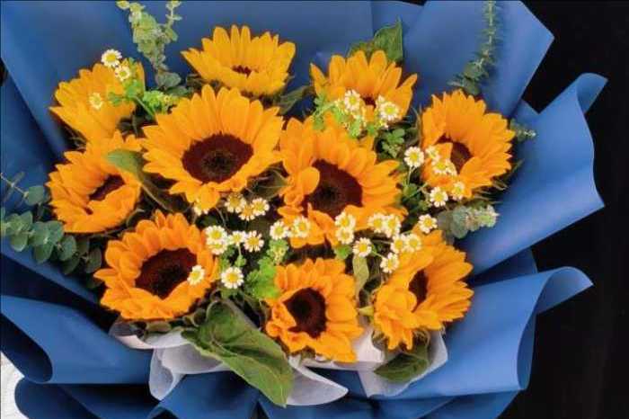 易县花店 易县花店